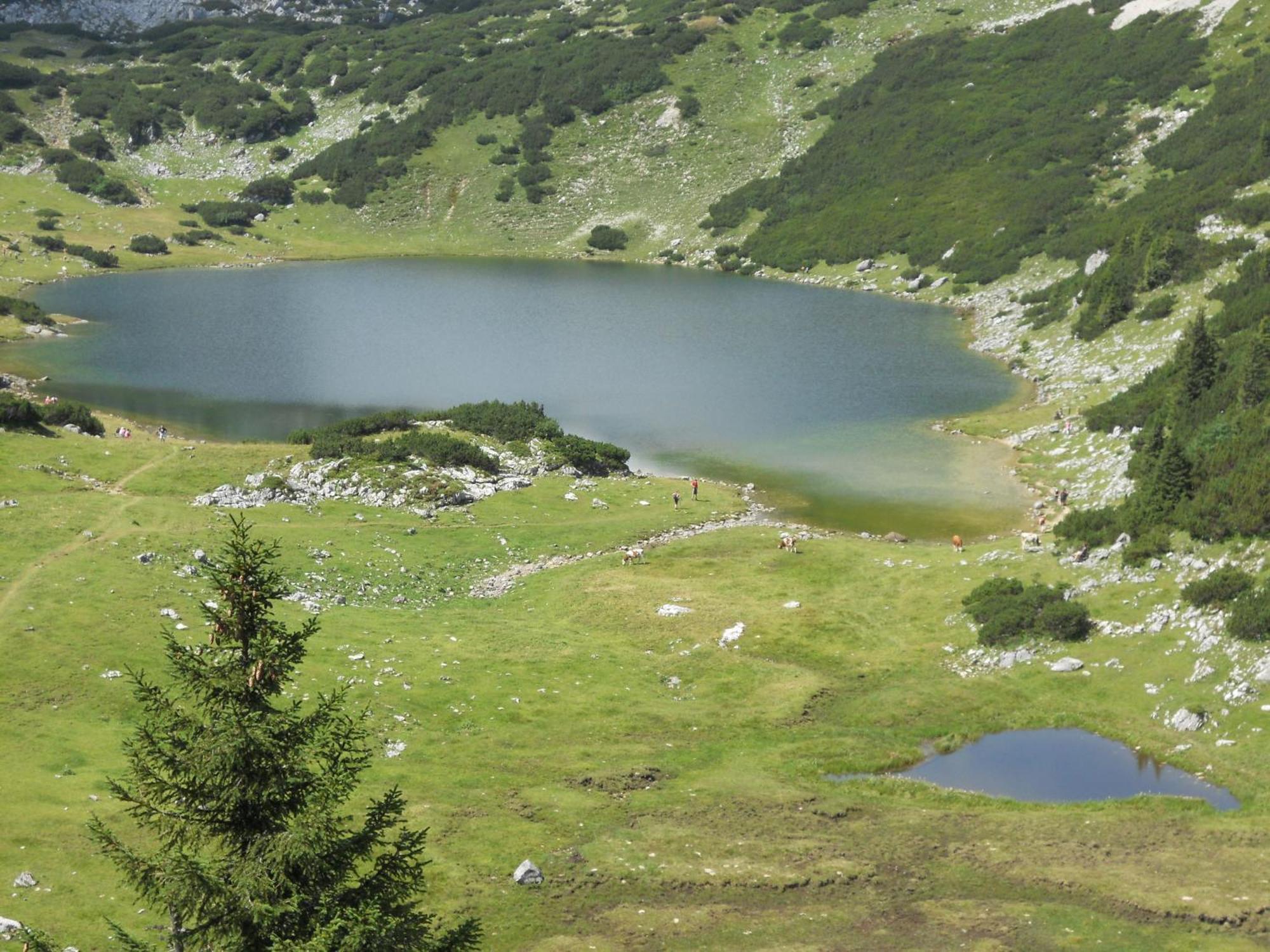 Hotel Landgasthof Pfarrwirt Thiersee Zewnętrze zdjęcie